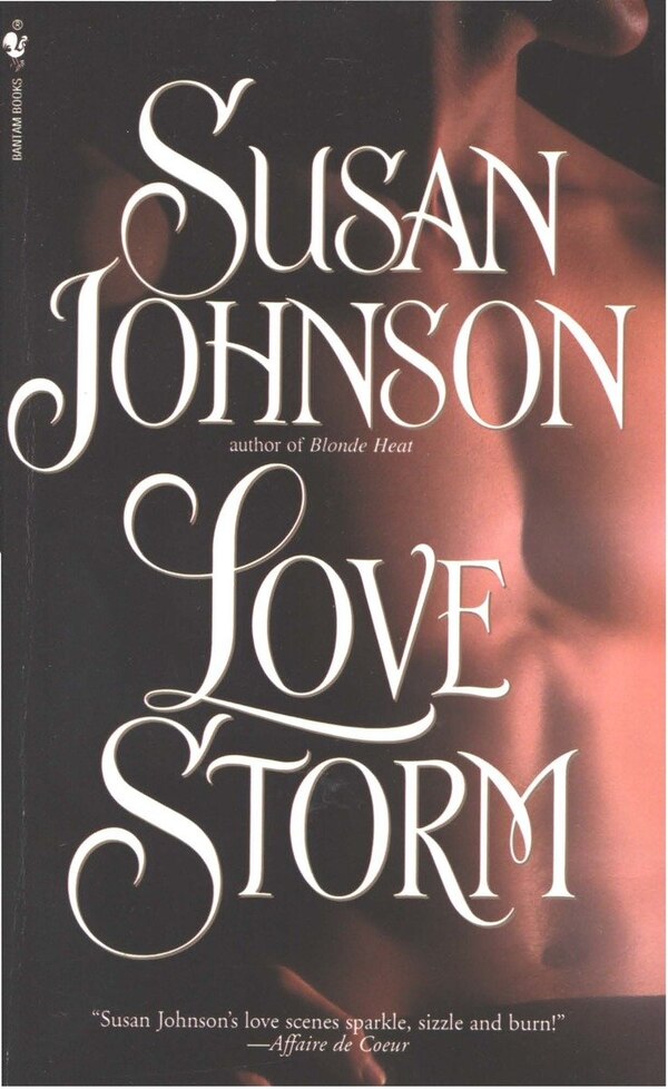 Love Storm by Susan Johnson, Mass Market Paperback | Indigo Chapters