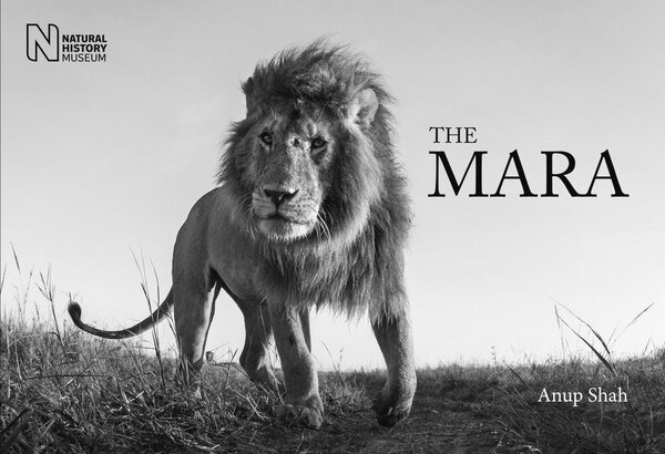 The Mara by Anup Shah, Hardcover | Indigo Chapters