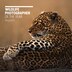 Wildlife Photographer of the Year Desk Diary 2023 by Natural History Museum, Hardcover | Indigo Chapters