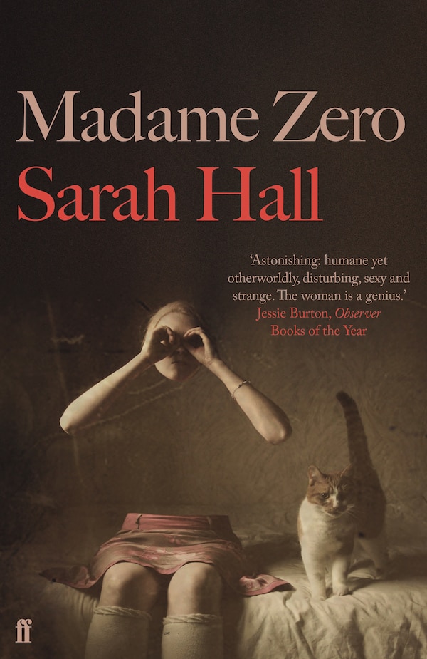 Madame Zero by Sarah Hall, Paperback | Indigo Chapters