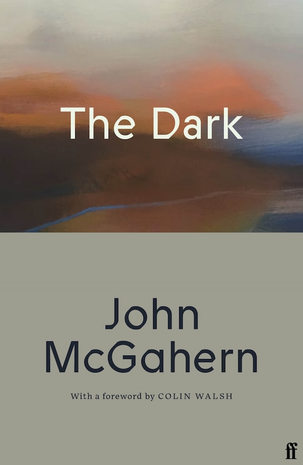 The Dark by John Mcgahern, Paperback | Indigo Chapters