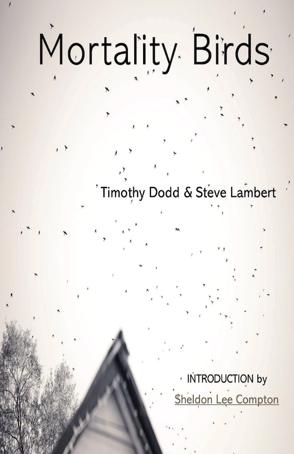 Mortality Birds by Steve Lambert, Paperback | Indigo Chapters