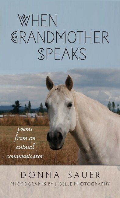 When Grandmother Speaks by Donna Sauer, Hardcover | Indigo Chapters