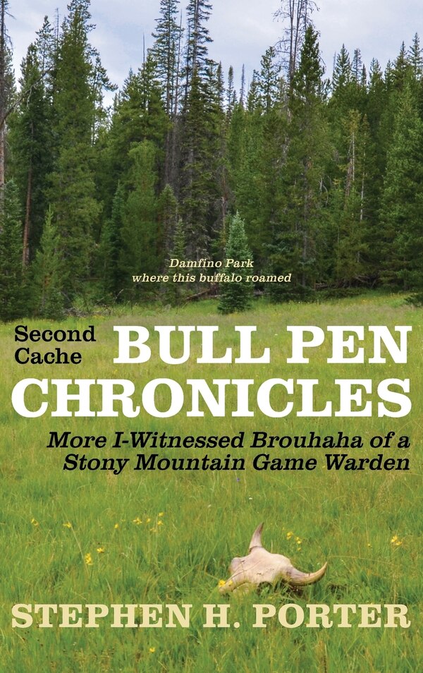 Second Cache BULL PEN CHRONICLES by Stephen H Porter, Hardcover | Indigo Chapters