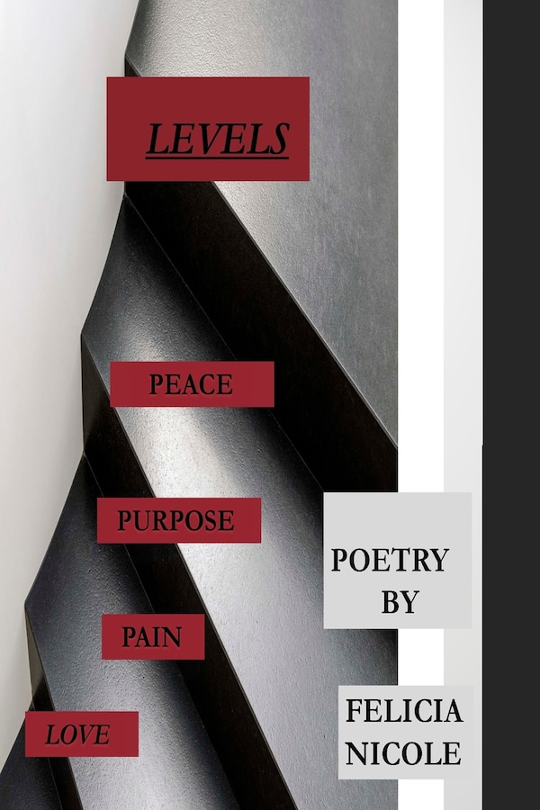 Levels by Felicia Nicole, Paperback | Indigo Chapters