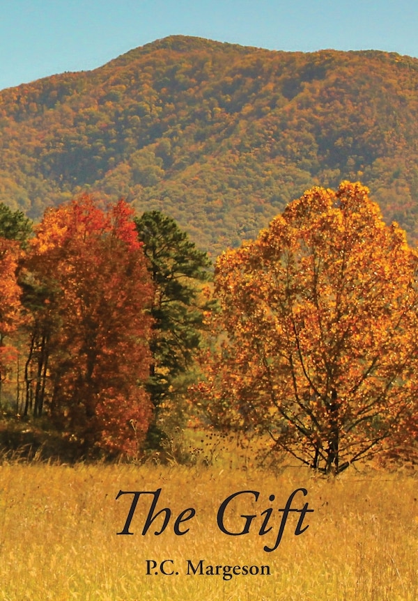 The Gift by Patricia C Margeson, Hardcover | Indigo Chapters