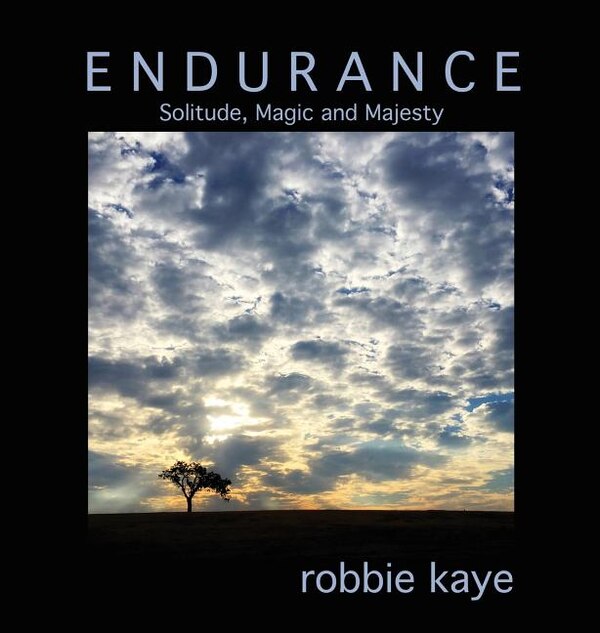 Endurance by Robbie Kaye, Hardcover | Indigo Chapters