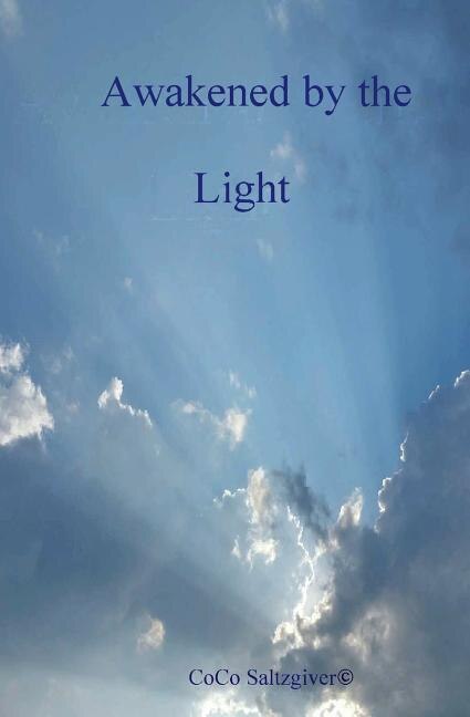 Awakended by the Light by Coco Saltzgiver, Paperback | Indigo Chapters