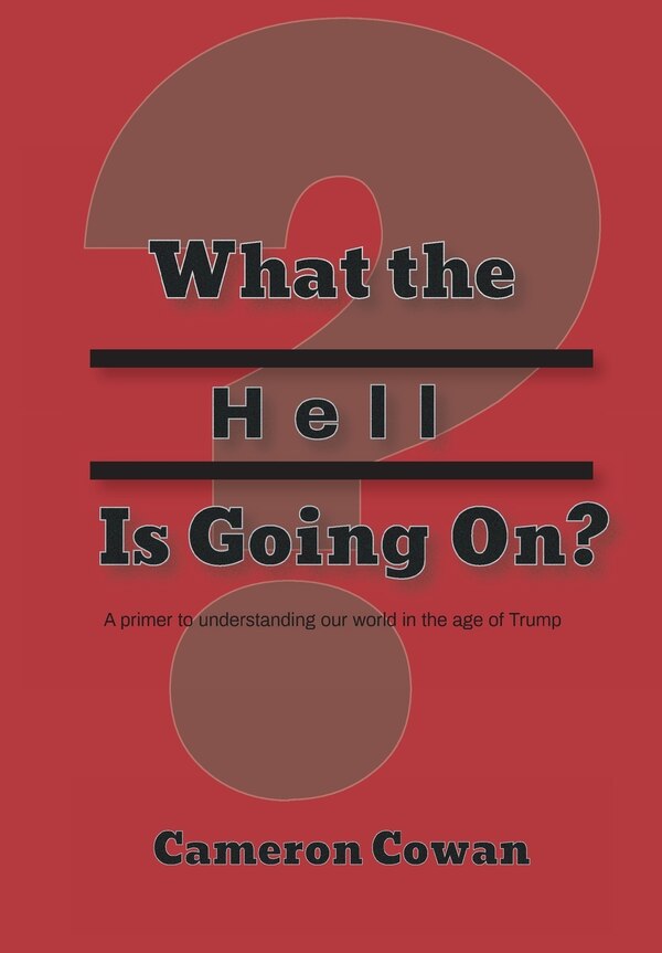 What The Hell Is Going On? by Cameron Lee Cowan, Paperback | Indigo Chapters