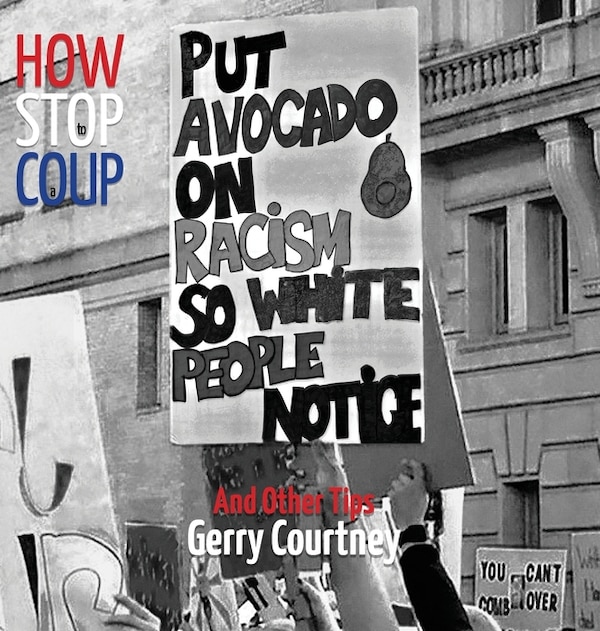 How to Stop a Coup. by Gerry Courtney, Hardcover | Indigo Chapters