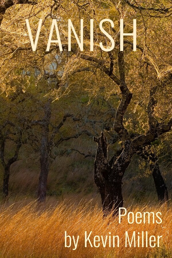 Vanish by Kevin Miller, Paperback | Indigo Chapters