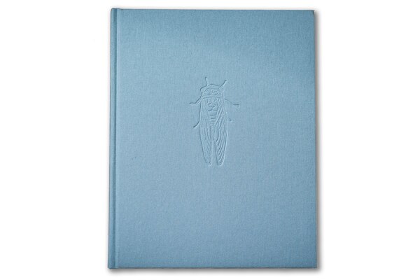 The 13th Spring by Aaron Hardin, Hardcover | Indigo Chapters