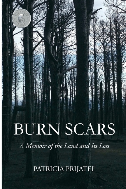 Burn Scars by Patricia Prijatel, Paperback | Indigo Chapters