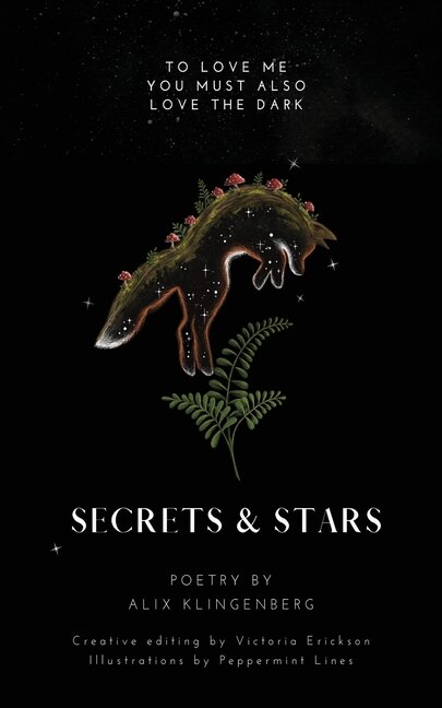 Secrets and Stars by Alix Klingenberg, Paperback | Indigo Chapters