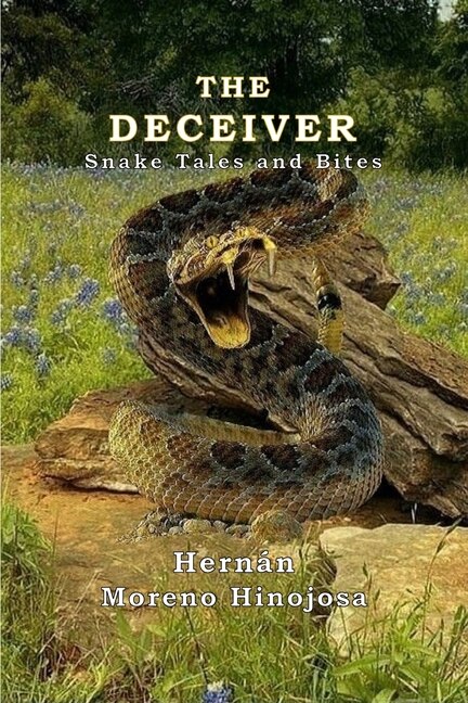 The Deceiver by Hernán Moreno Hinojosa, Paperback | Indigo Chapters