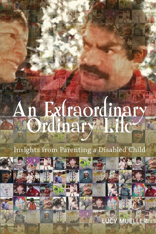 An Extraordinary/Ordinary Life by Lucy A Mueller, Paperback | Indigo Chapters