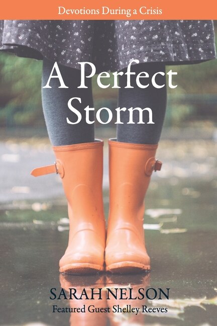 A Perfect Storm by Sarah Nelson, Paperback | Indigo Chapters