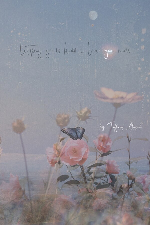 letting go is how i love you now by Tiffany Aliyah Davis, Paperback | Indigo Chapters