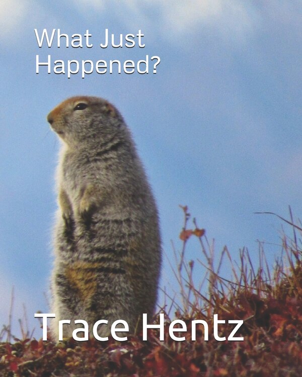 What Just Happened? by Trace L Hentz, Paperback | Indigo Chapters