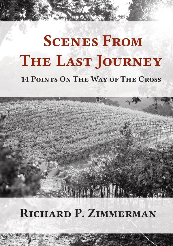 Scenes From The Last Journey by Richard P Zimmerman, Paperback | Indigo Chapters