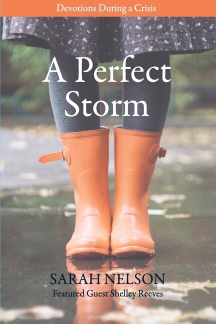 A Perfect Storm by Sarah Nelson, Paperback | Indigo Chapters