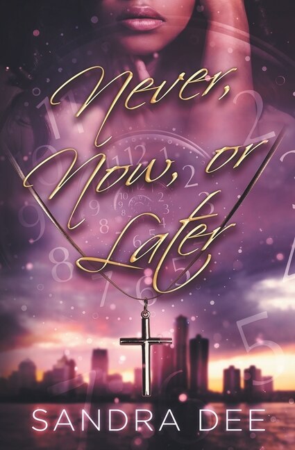 Never Now or Later by Sandra Dee, Paperback | Indigo Chapters