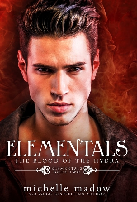 Elementals 2 by Michelle Madow, Hardcover | Indigo Chapters