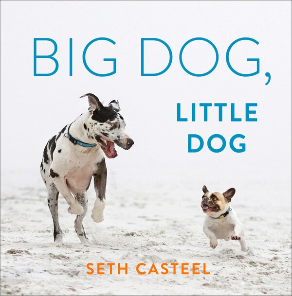 Big Dog Little Dog by Seth Casteel, Hardcover | Indigo Chapters