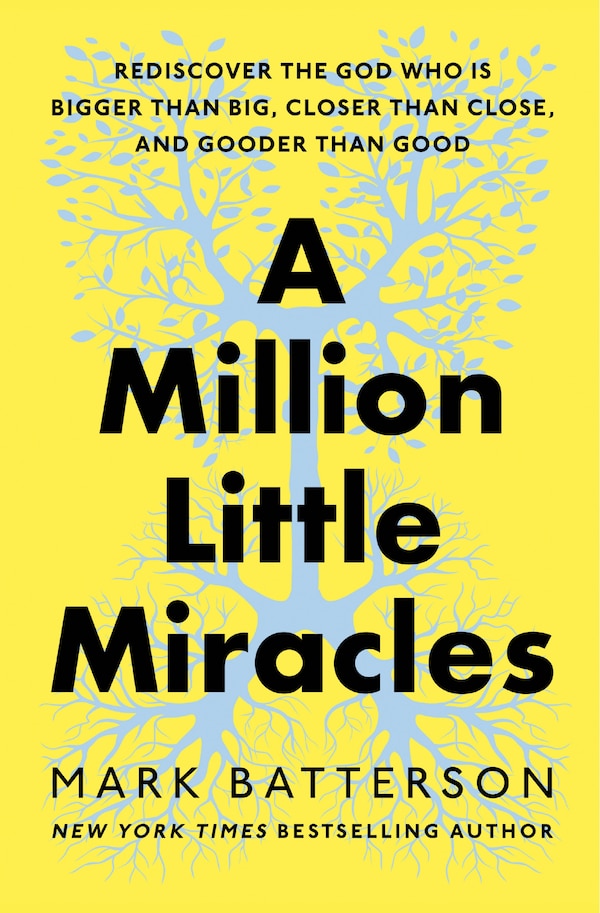 A Million Little Miracles by Mark Batterson, Paperback | Indigo Chapters