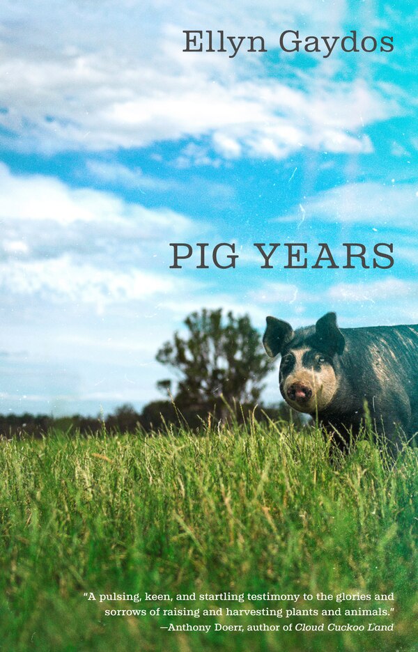 Pig Years by Ellyn Gaydos, Paperback | Indigo Chapters