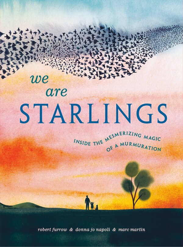 We Are Starlings by Robert Furrow, Reinforced Library Binding | Indigo Chapters