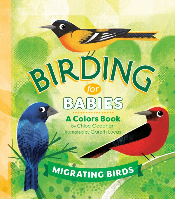 Birding For Babies: Migrating Birds by Chloe Goodhart, Board Book | Indigo Chapters