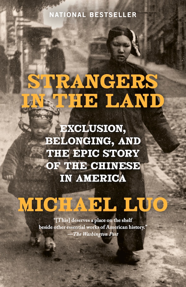 Strangers in the Land by Michael Luo, Paperback | Indigo Chapters
