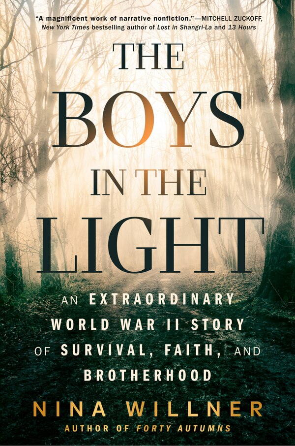 The Boys in the Light by Nina Willner, Hardcover | Indigo Chapters