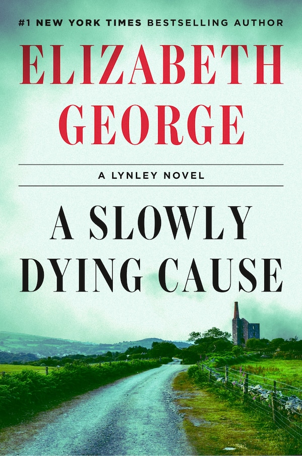 A Slowly Dying Cause by Elizabeth George, Hardcover | Indigo Chapters