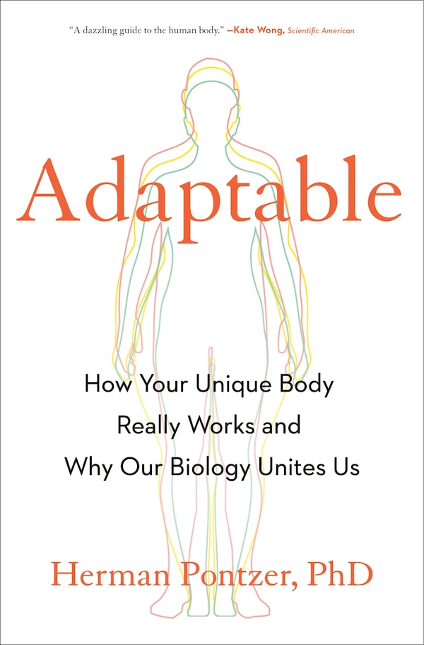 Adaptable by Herman Pontzer, Hardcover | Indigo Chapters