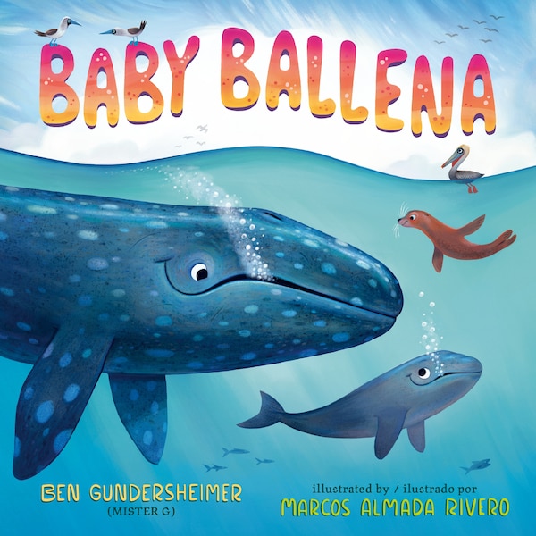 Baby Ballena (Bilingual English-Spanish Edition) by Ben Gundersheimer (mister G), Picture Books | Indigo Chapters