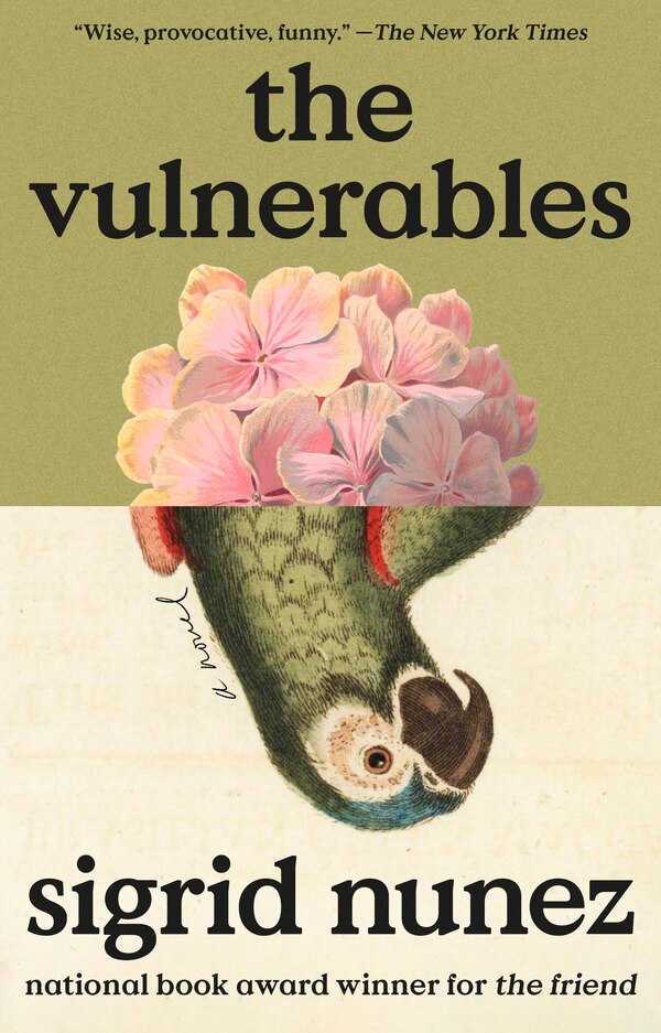 The Vulnerables by Sigrid Nunez, Paperback | Indigo Chapters
