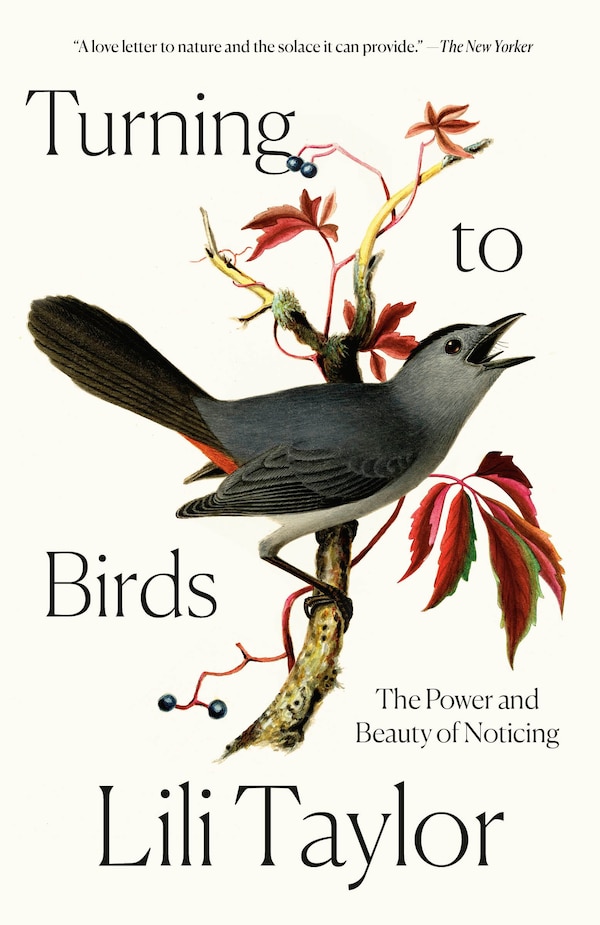 Turning to Birds by Lili Taylor, Paperback | Indigo Chapters