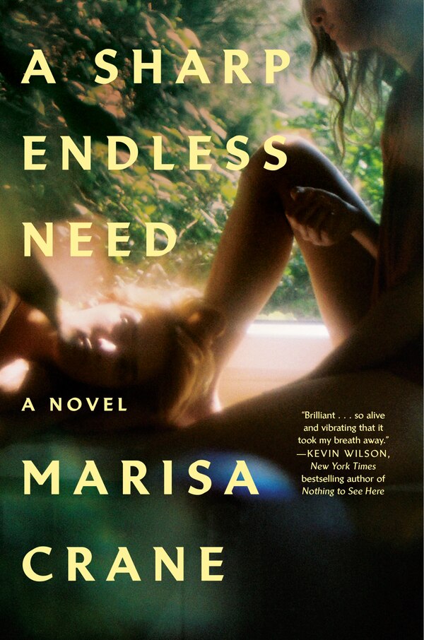 A Sharp Endless Need by Marisa Crane, Hardcover | Indigo Chapters