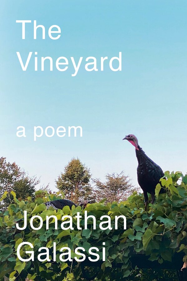 The Vineyard by Jonathan Galassi, Hardcover | Indigo Chapters
