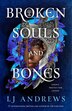 Broken Souls and Bones by Lj Andrews, Paperback | Indigo Chapters