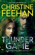 Thunder Game by Christine Feehan, Paperback | Indigo Chapters