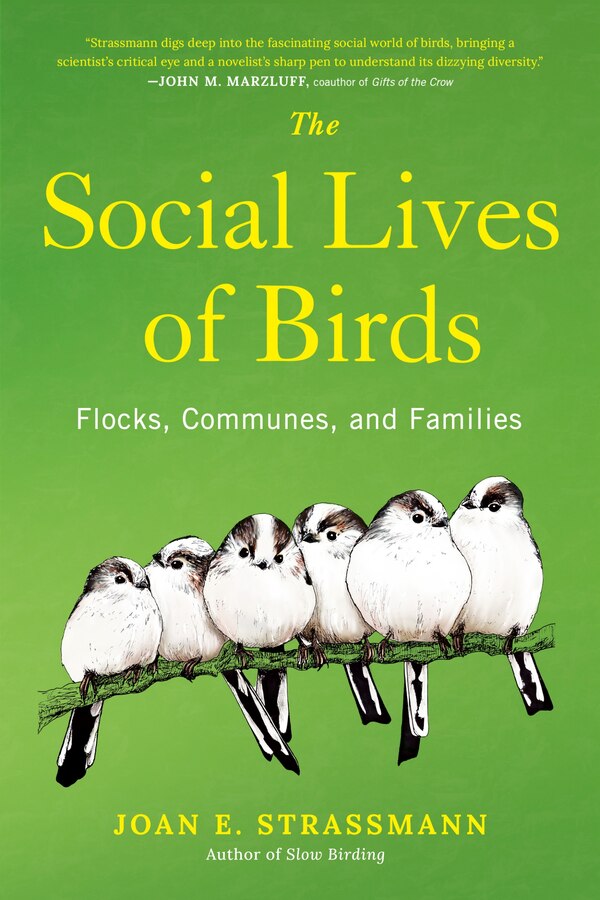 The Social Lives of Birds by Joan E. Strassmann, Hardcover | Indigo Chapters