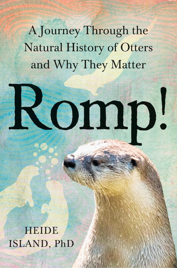 Romp by Heide Island, Hardcover | Indigo Chapters