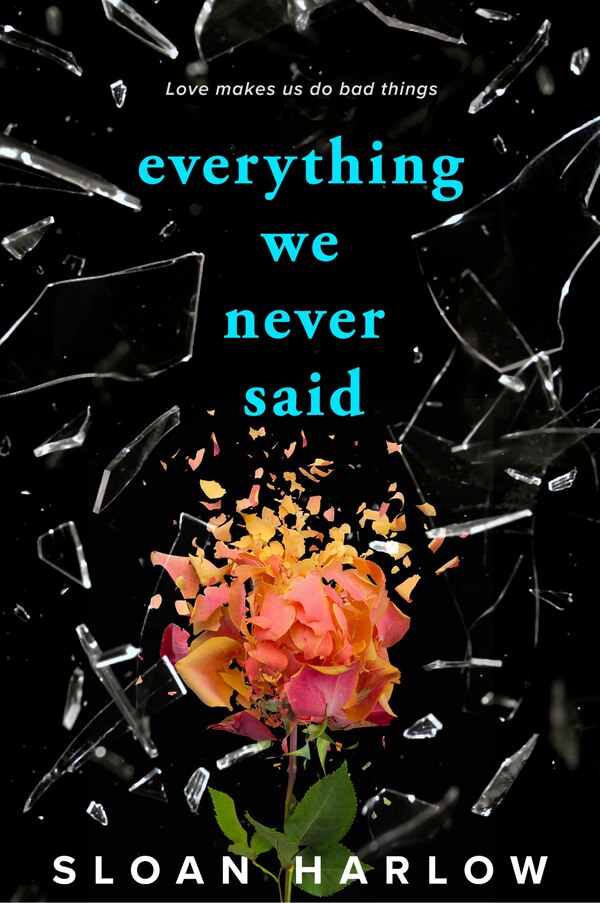 Everything We Never Said by Sloan Harlow, Paperback | Indigo Chapters