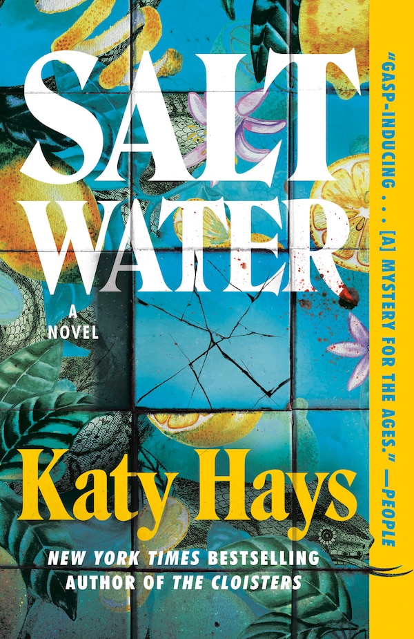 Saltwater by Katy Hays, Paperback | Indigo Chapters