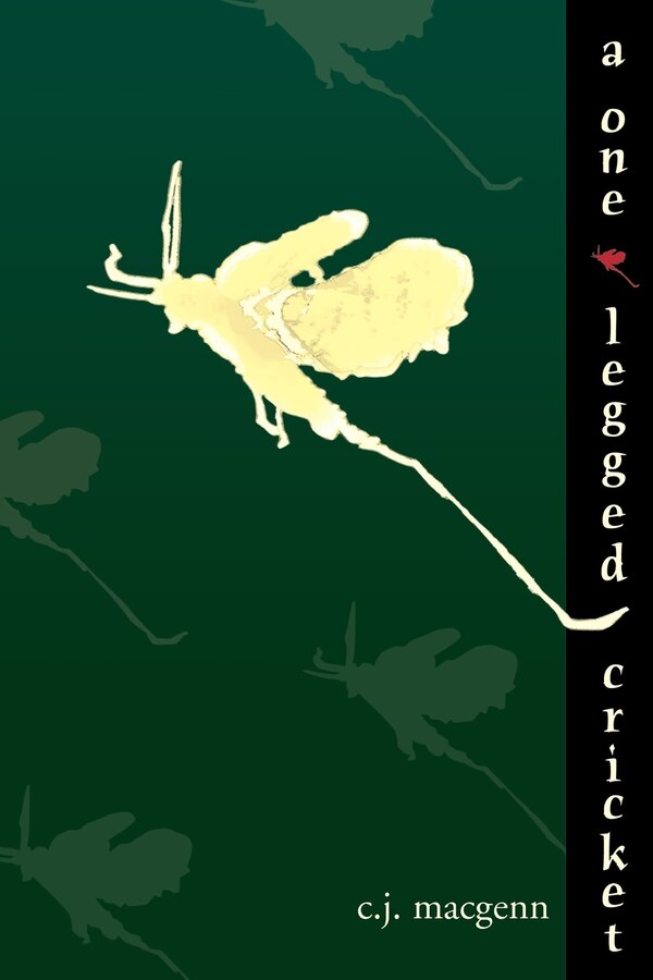 A One-Legged Cricket by C J Macgenn, Paperback | Indigo Chapters