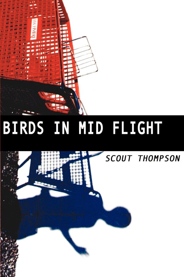 Birds in Mid Flight by Scout Thompson, Paperback | Indigo Chapters