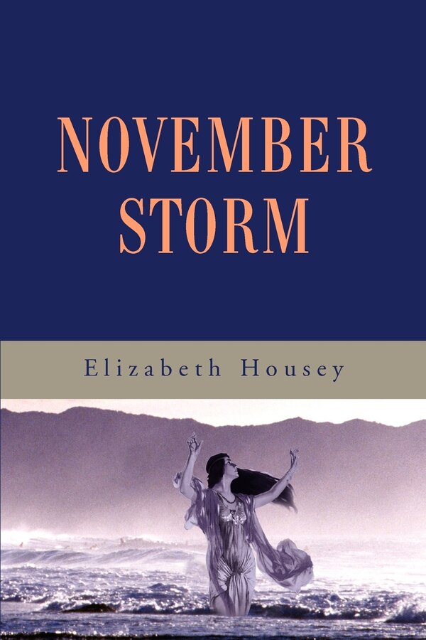 November Storm by Elizabeth Housey, Paperback | Indigo Chapters